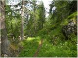 Malga Fosse - Rifugio Rosetta